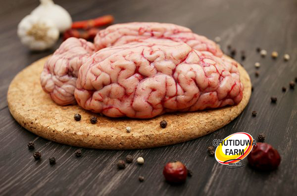 Beef Brain