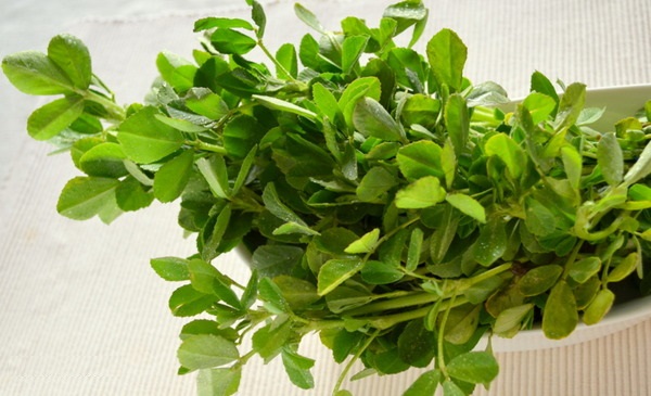 Leafy Methi